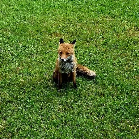 Apartment Pirkl Goslar